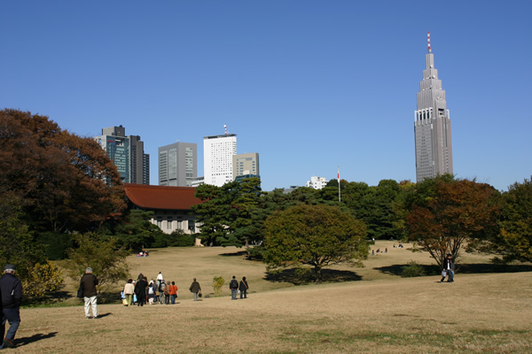 明治神宮と神宮外苑
