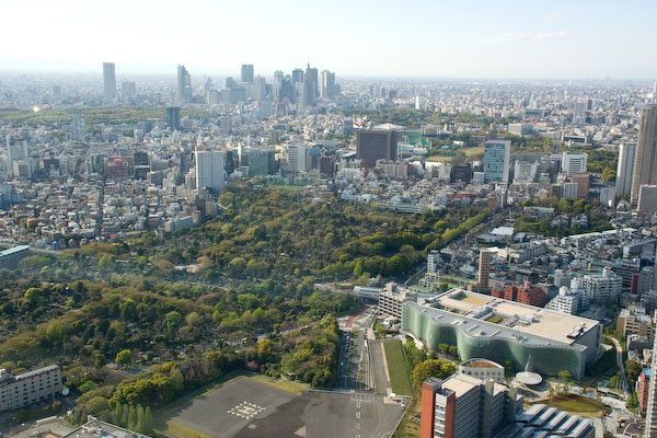 六本木ヒルズ
