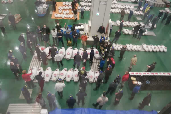 豊洲市場のマグロの競り市を見学する