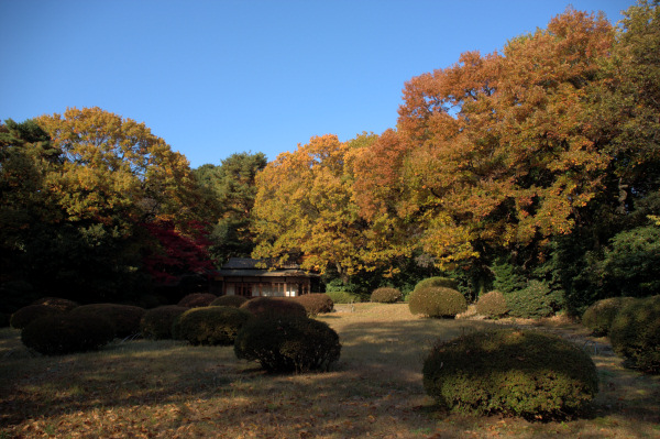 明治神宮と神宮外苑