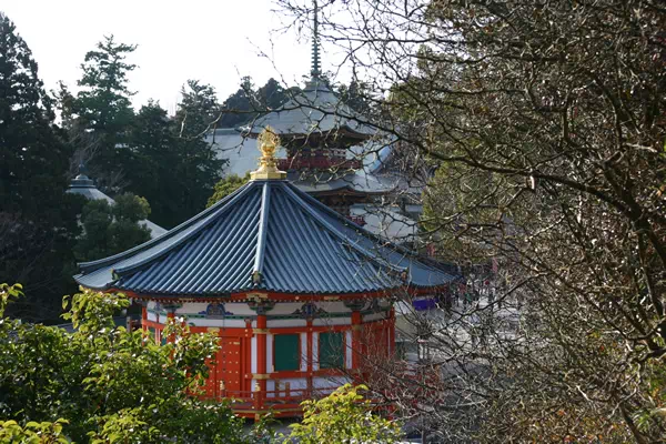 成田山 新勝寺 初詣