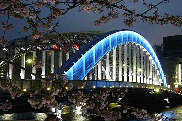 永代橋と大寒桜の夜景