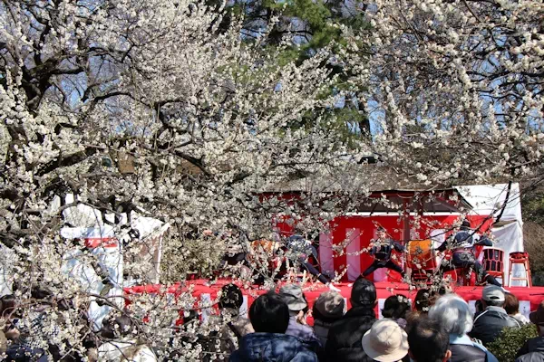 大倉山観梅会（横浜）