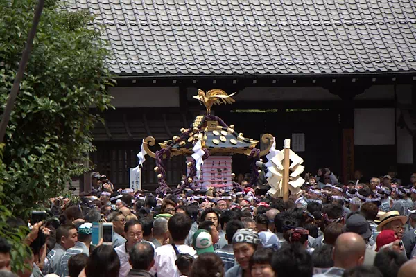 浅草神社 三社祭