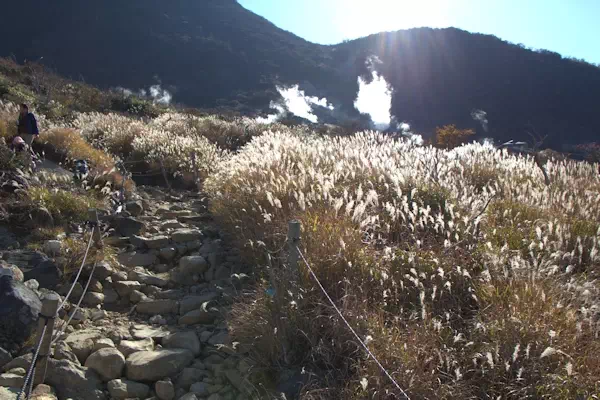 箱根で紅葉が見頃に