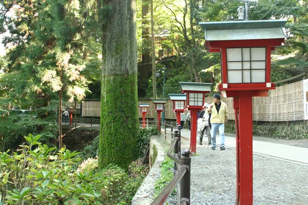 高尾山の紅葉と もみじまつり
