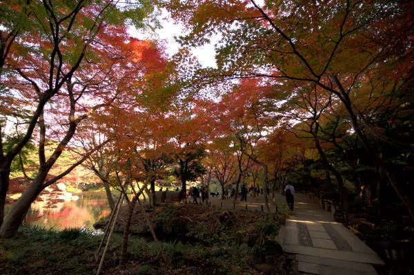 小石川後楽園 紅葉まつり